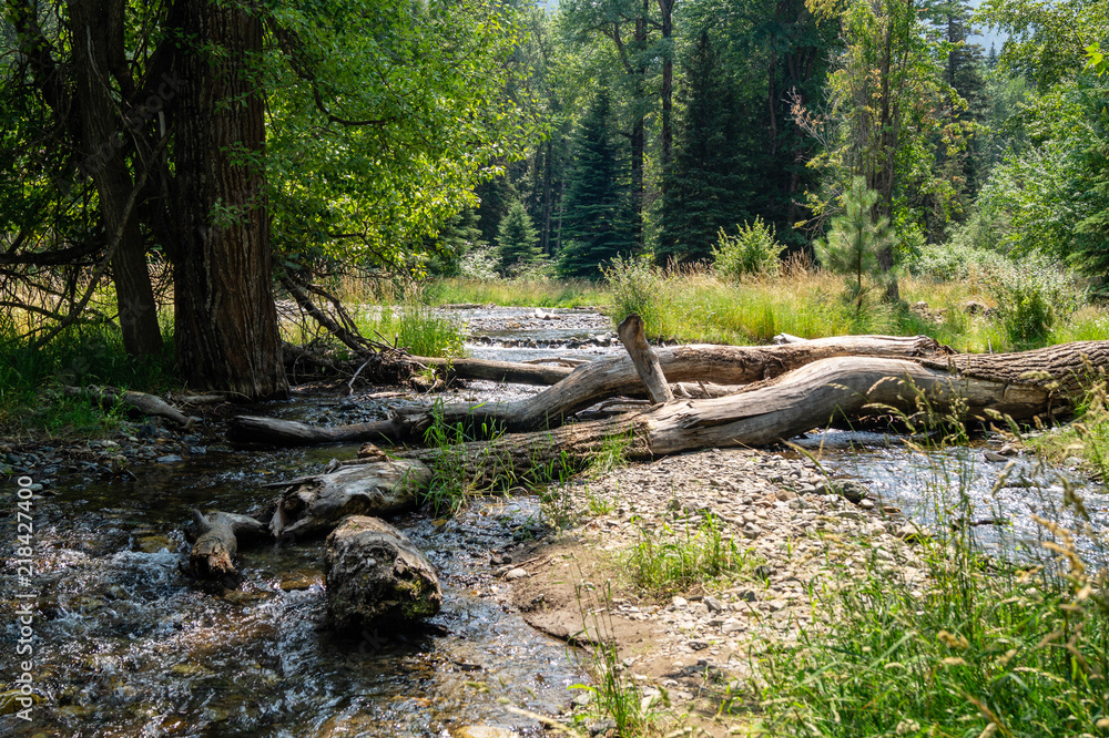 Streams feeding Wallowa Lake in Wallowa Lake State Park, Oregon, USA Streams feeding Wallowa Lake in Wallowa Lake State Park, Oregon, USA