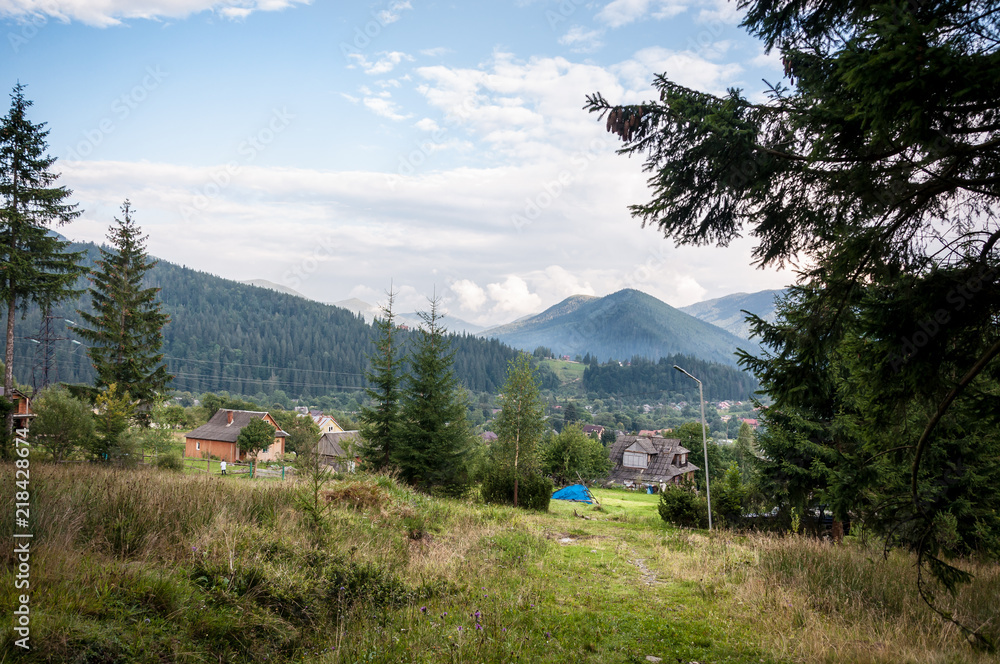 mountain valley with tall trees after a rain on a summer mountain valley with tall trees after a rain on a summer