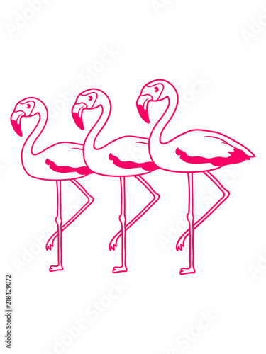 3 freunde team crew flamingo clipart comic cartoon vogel pink s     niedlich