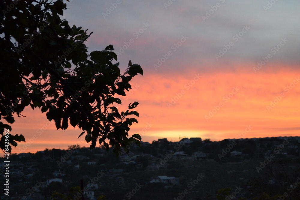 Obraz premium Sebastopol