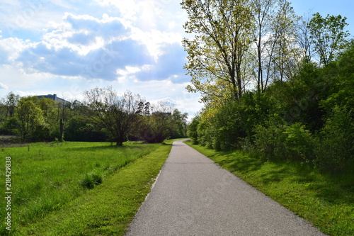 An empty road amidst bright green summer grass 