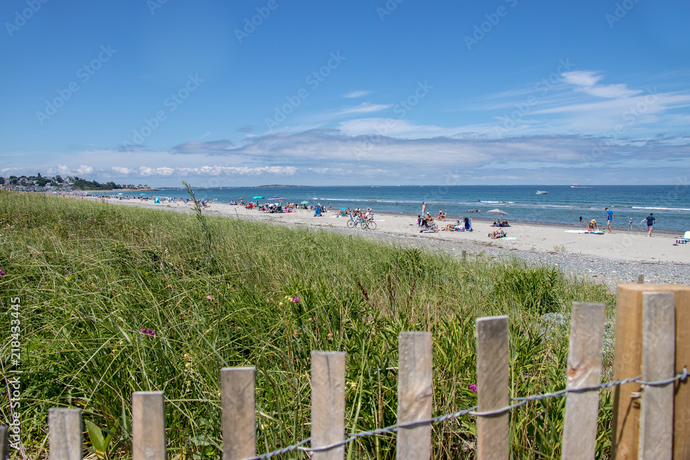 beautiful sunny beach day showing seagrass, fence, and sand