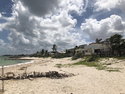 Wallpaper Mural Der Golf von Mexico in dem kleinen Ort Chelem Torontodigital.ca
