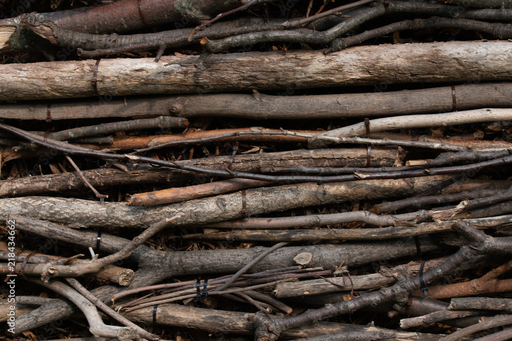 Wall of long and brown organized sticks Wall of long and brown organized sticks
