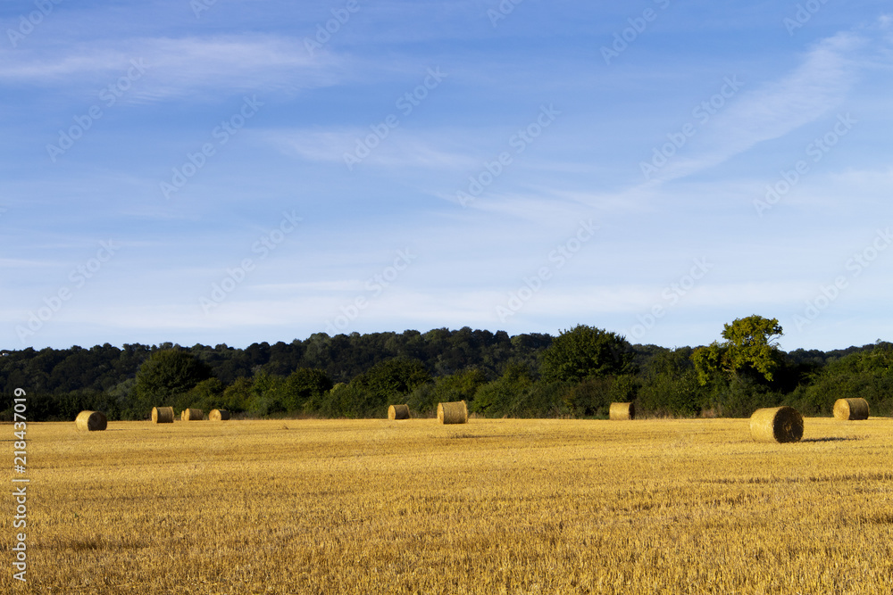 Fototapeta premium Livestock winter feed bales of hay in farmland field in rural Hampshire
