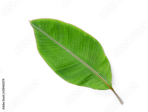 green banana Leaf isolated on white background with shadow