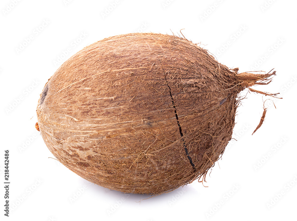 coconuts isolated on the white background coconuts isolated on the white background
