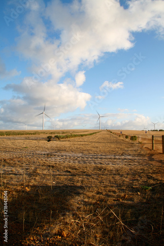 Wind Turbine