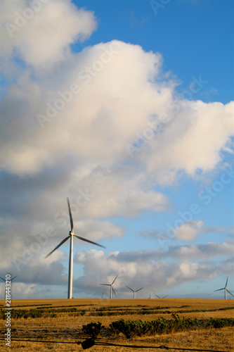 Wind Turbine