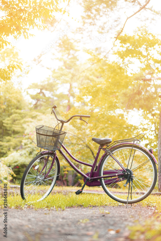 Bicycle in beauty nature background.