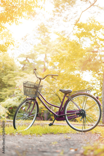 Bicycle in beauty nature background. © candyhalls