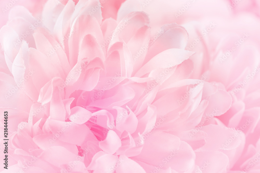 Chrysanthemum flowers in soft pastel color and blur style for background