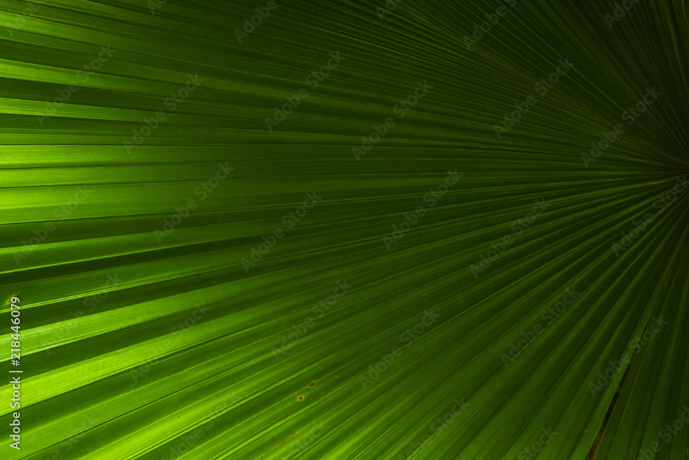 Leaf green Leaf green