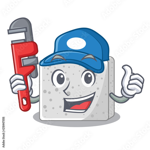 Plumber fresh feta cheese isolated on maskot