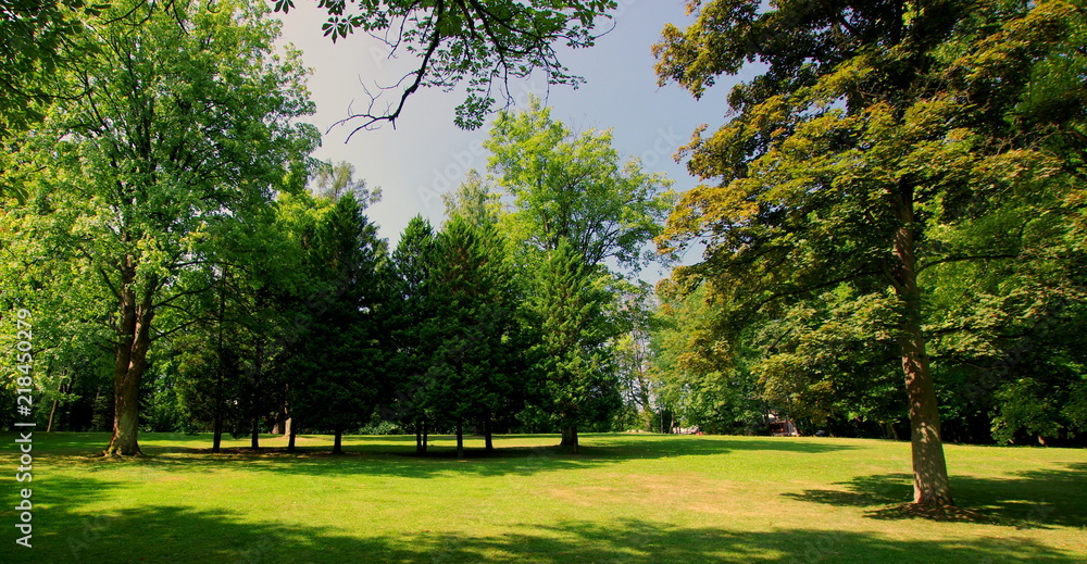 Piękny zielony park zdrojowy w Kudowie Zdrój - idealne miejsce na odpoczynek i chwilę wytchnienia