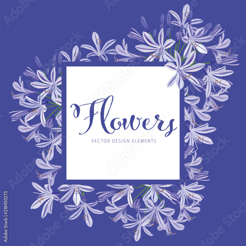 Agapanthus or African lily flowers background template. Vector set of blooming floral for holiday invitations, greeting card and fashion design.