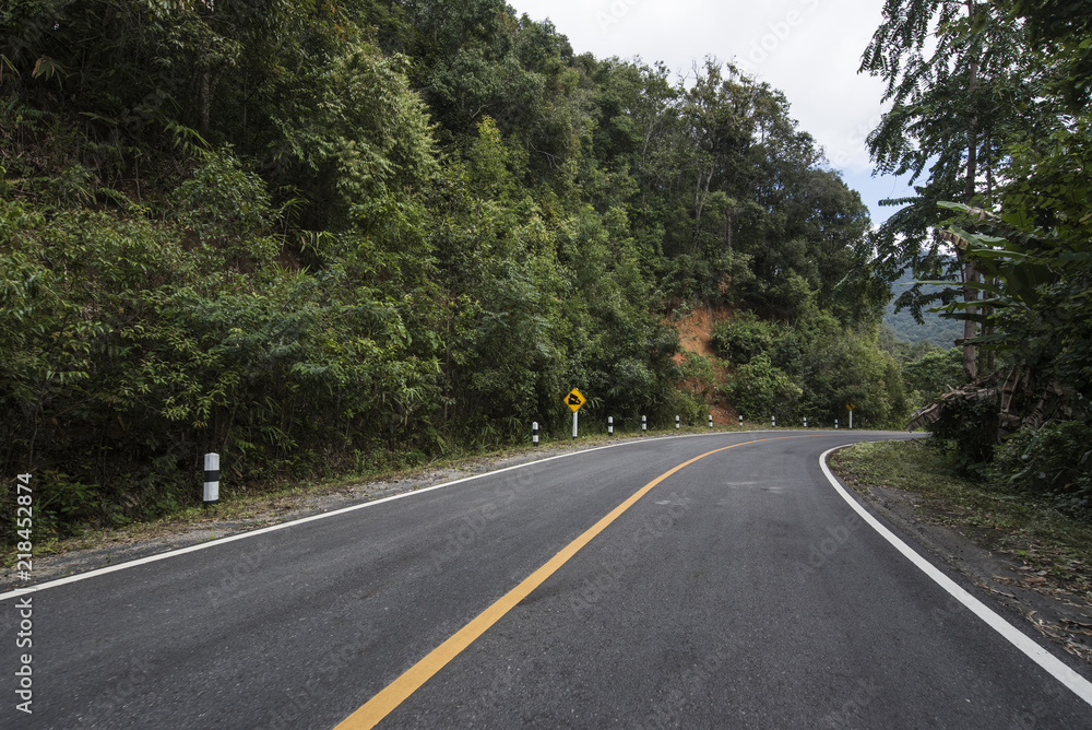 Country Road With Trees Beside