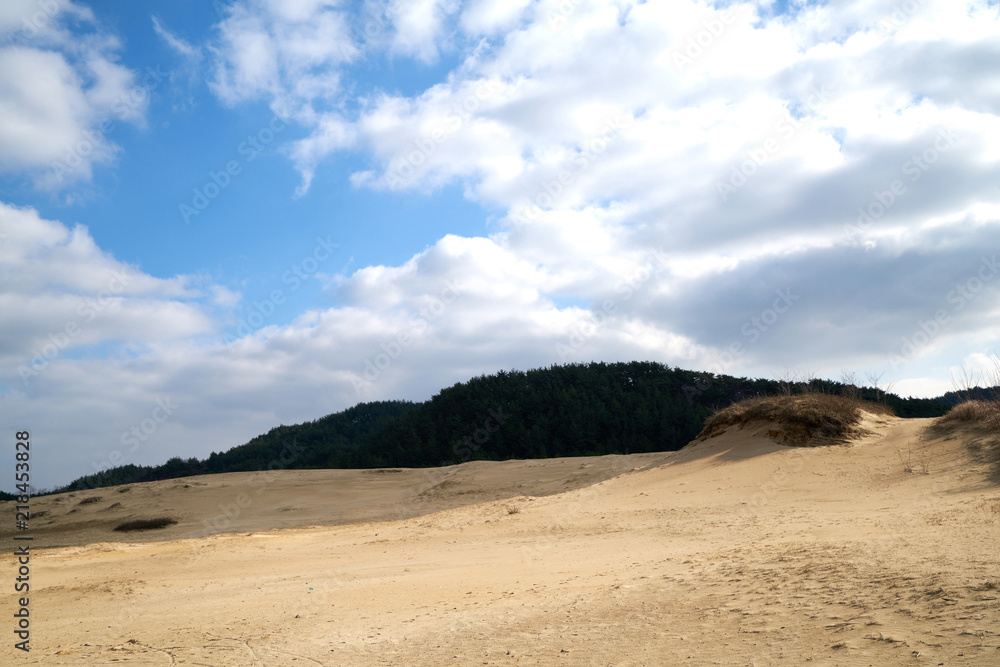 Sindu-ri Coastal dune in korea.