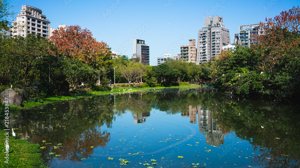 Obraz premium Scenic ecological pool in Daan forest park in Da'an district Taipei Taiwan