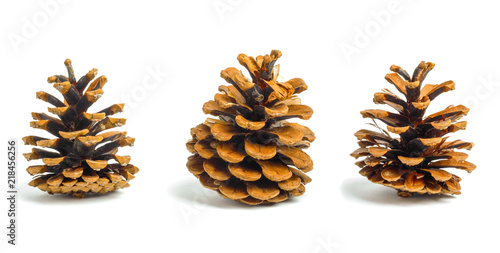 Set of Old brown cones isolated on  background
