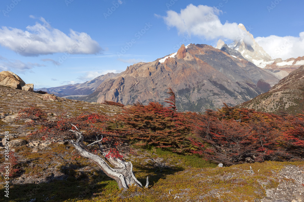 Patagonie