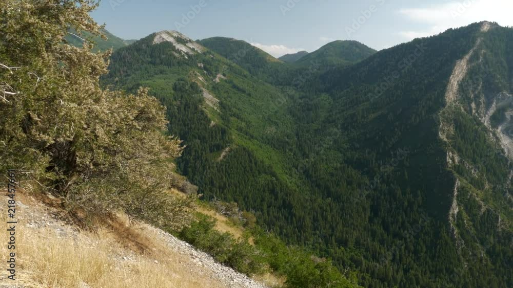 Majestic mountain top (Squaw Peak) with green trees panning from left to right Majestic mountain top (Squaw Peak) with green trees panning from left to right