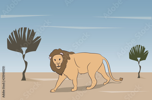 lion lies on nature