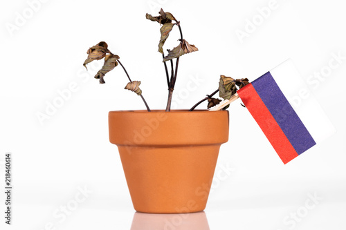 Konzeptbild mit der Flagge Russlands in einem Blumentopf mit verdörrter Pflanze, Konzept Armut und Inflation, schlechte Wirtschaftskraft und Niedergang der Werte oder Währung