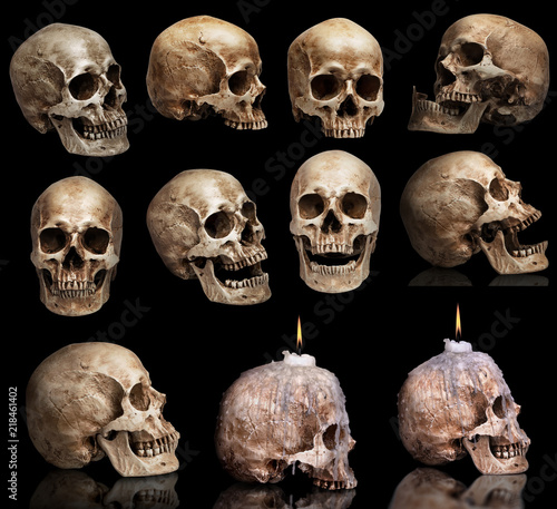 set of human skulls in different angles. Isolated