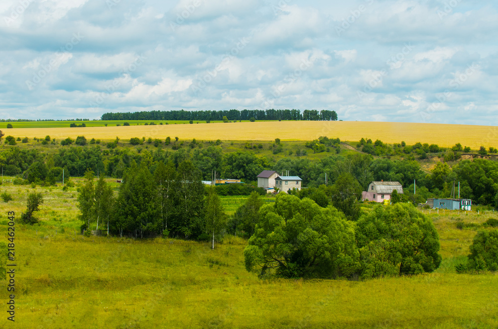 rural landscape in summer