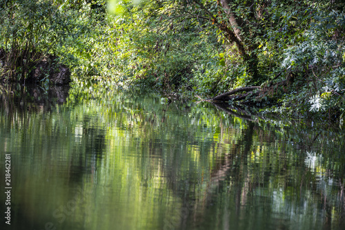 Beautiful reflections of evening sunlight on the Chchester Canal near Poyntz Bridge, Hunston in West Sussex, England