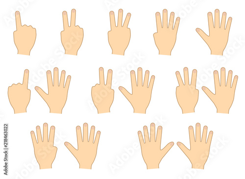 Fingers of hands. Counting, education. Set. Vector illustration