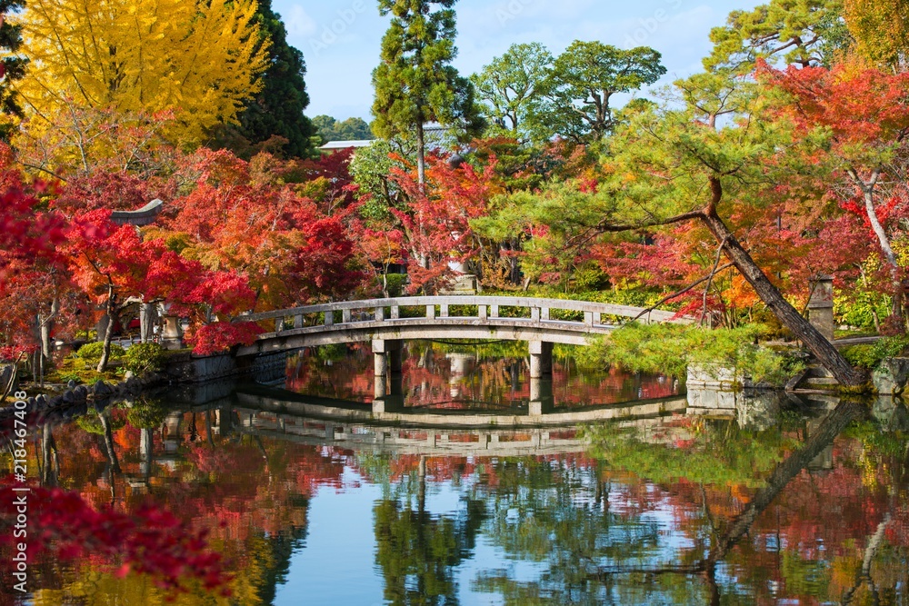 Fototapeta premium 極楽橋の紅葉