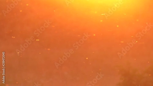 Abstraction. Flies fly in the air. Beautiful sunset. Flare effect. 4K, UHD, 50fps,Panning,Closeup, 	