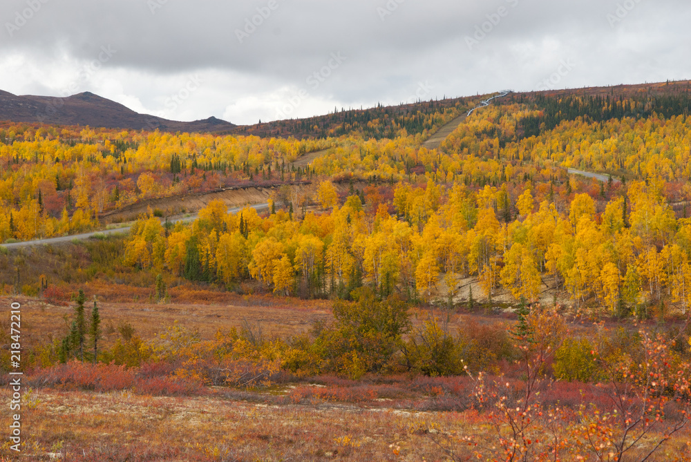 Fototapeta premium Northern roads