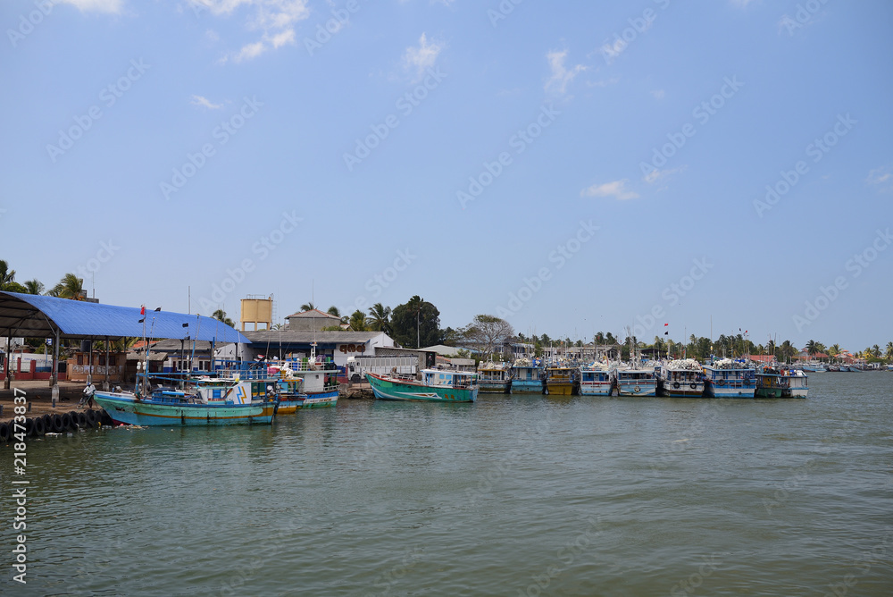 Fototapeta premium Sri Lanka fish market