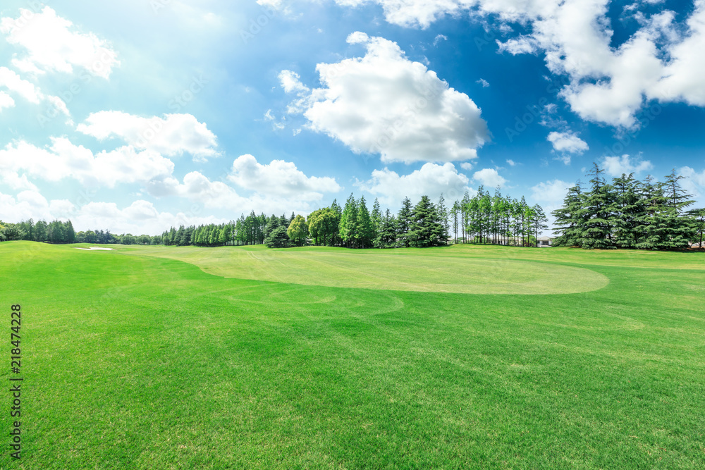 Green grass field and forest scenery in summer Green grass field and forest scenery in summer