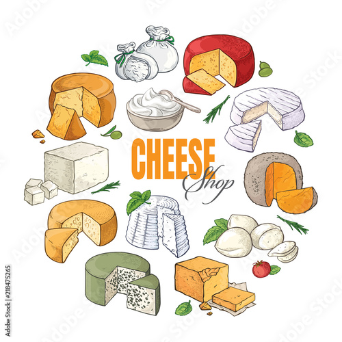 Collection of Cut sliced cheese assortment. Vector illustration.