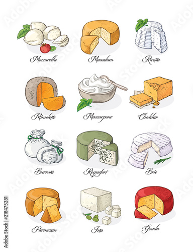 Collection of Cut sliced cheese assortment. Vector illustration.
