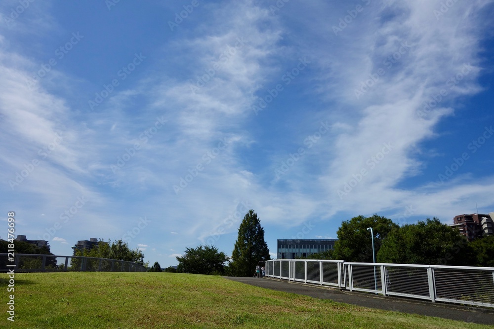 Obraz premium 夏の青空