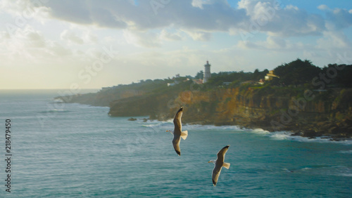 Two eagles flying over the sea