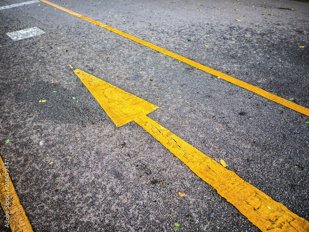 Yellow Forward sign on the road in the park