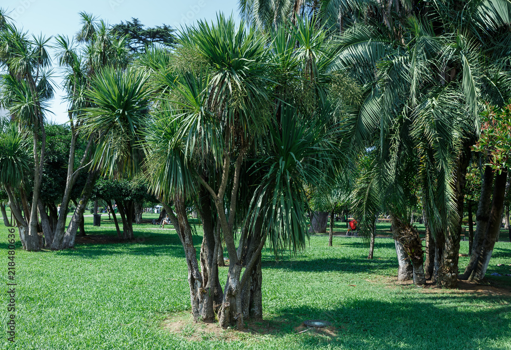 Georgia summer Batumi tourist sights