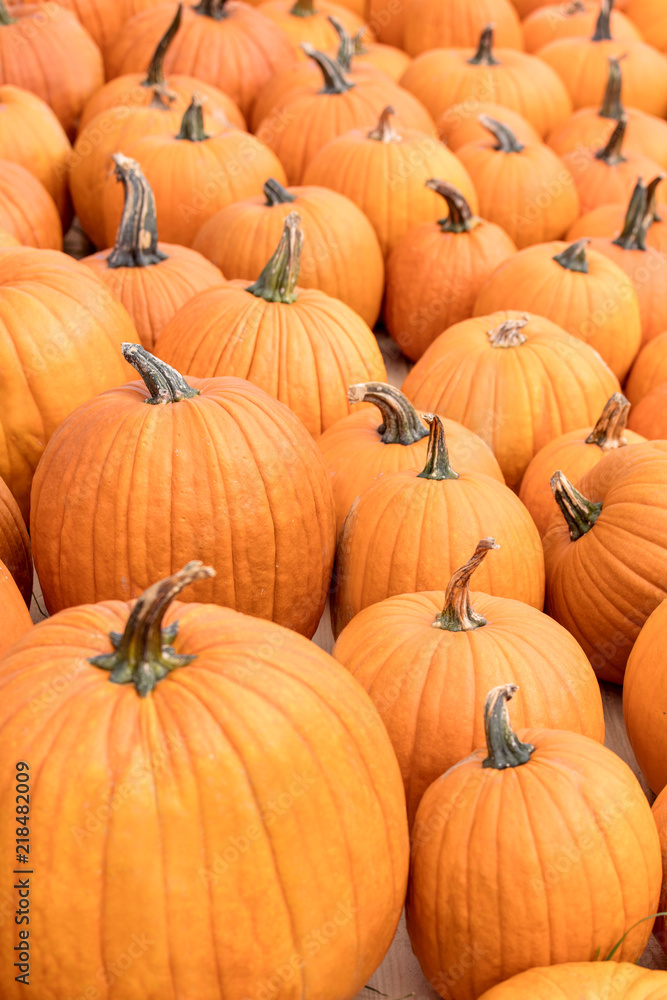Halloweenkürbisse als Hintergrund, Halloween und Kürbis Halloweenkürbisse als Hintergrund, Halloween und Kürbis