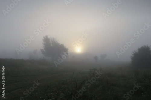 A dawn early in the morning in the steppe with fog.