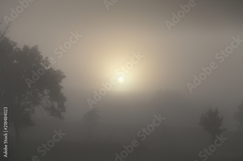 A dawn early in the morning in the steppe with fog. © Bonnie19