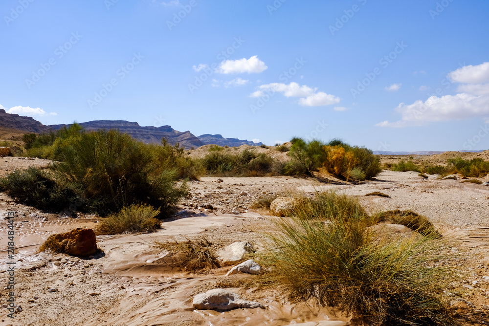 Scenic view of a canyon in Negev Desert . Israel Scenic view of a canyon in Negev Desert . Israel