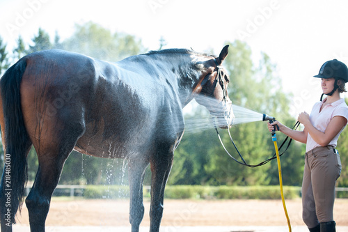 Young teenage girl equestrian washing her brown horse in shower