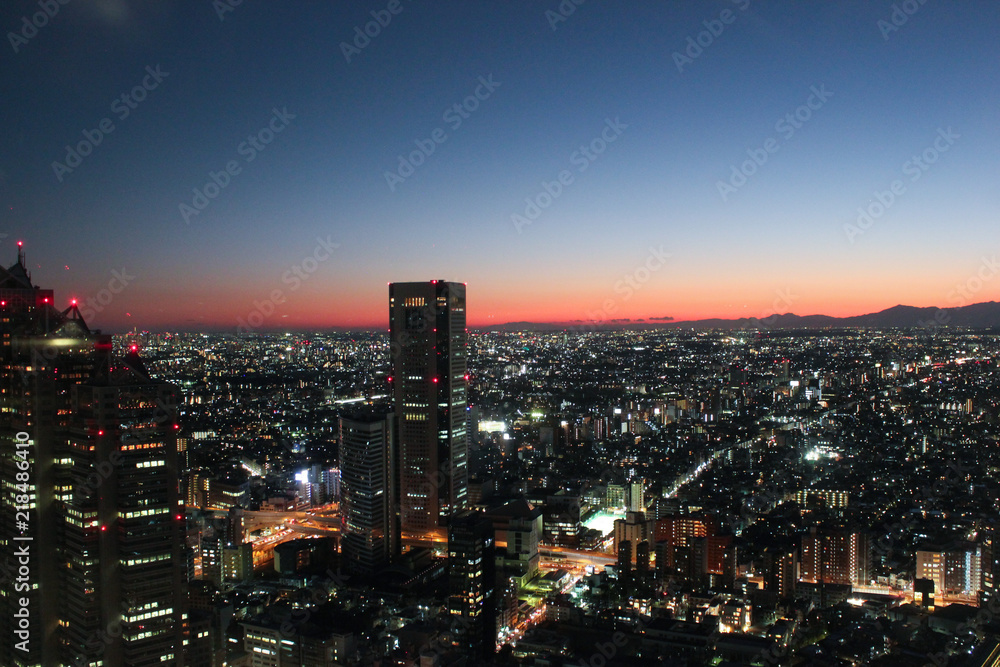 TOKYO, JAPAN - Tokyo skyline at dusk