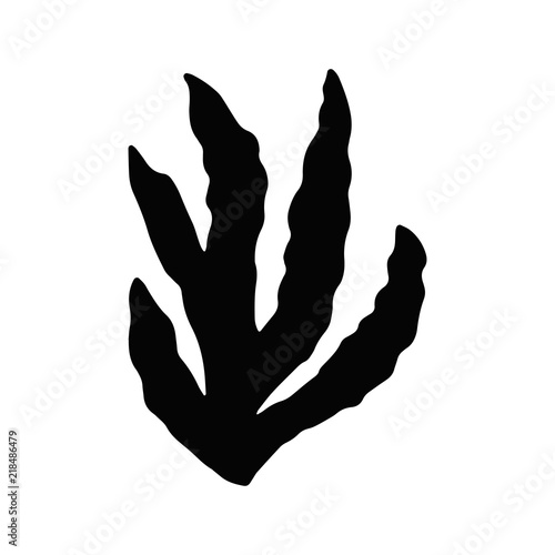 algae isolated object black sea plant.